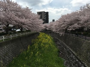 IMG_0325.JPG