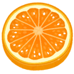fruit_slice10_orange