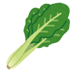 vegetable_komatsuna