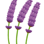 flower_lavender