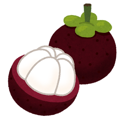 fruit_mangosteen