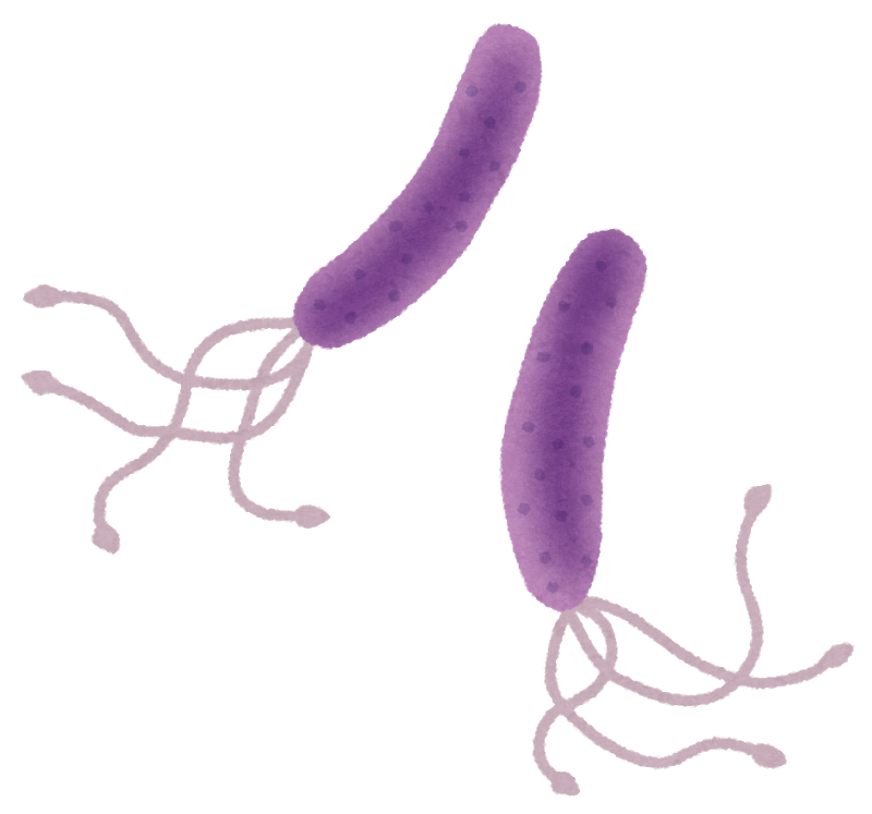 virus_pylori_pirorikin