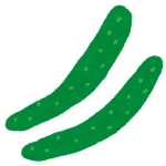 kyuuri_cucumber