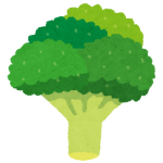 broccoli (1)