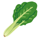 vegetable_komatsuna (1)