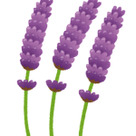 flower_lavender (1)